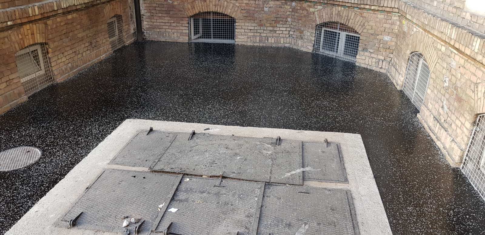 This image for Image Layouts addon