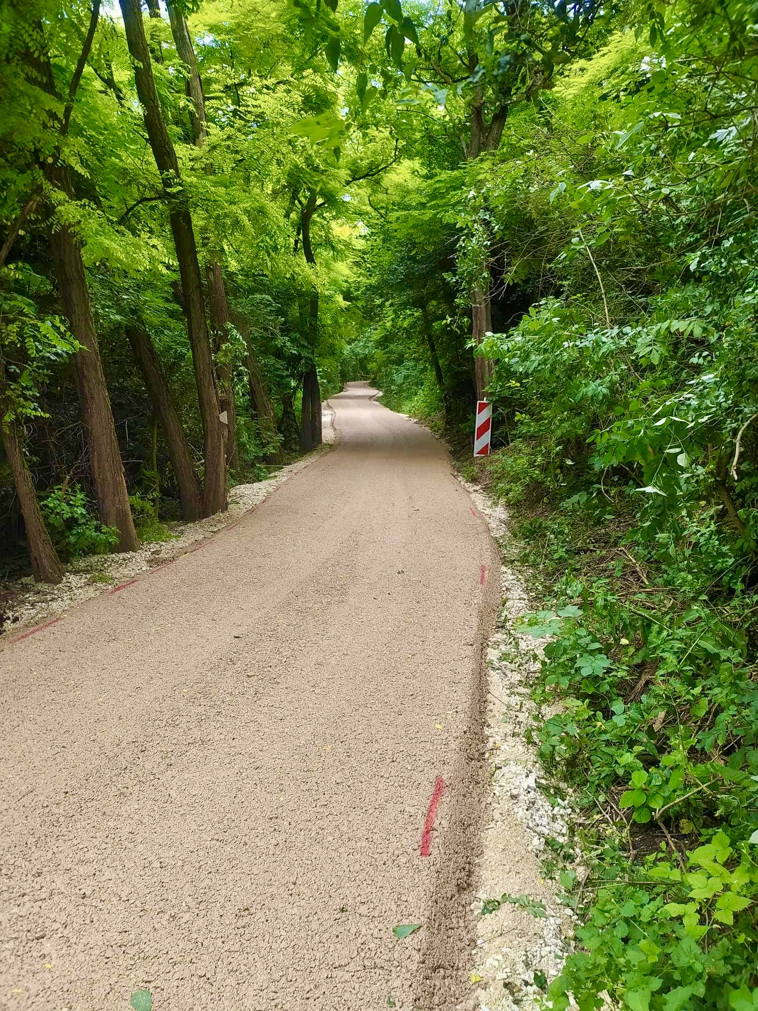 This image for Image Layouts addon