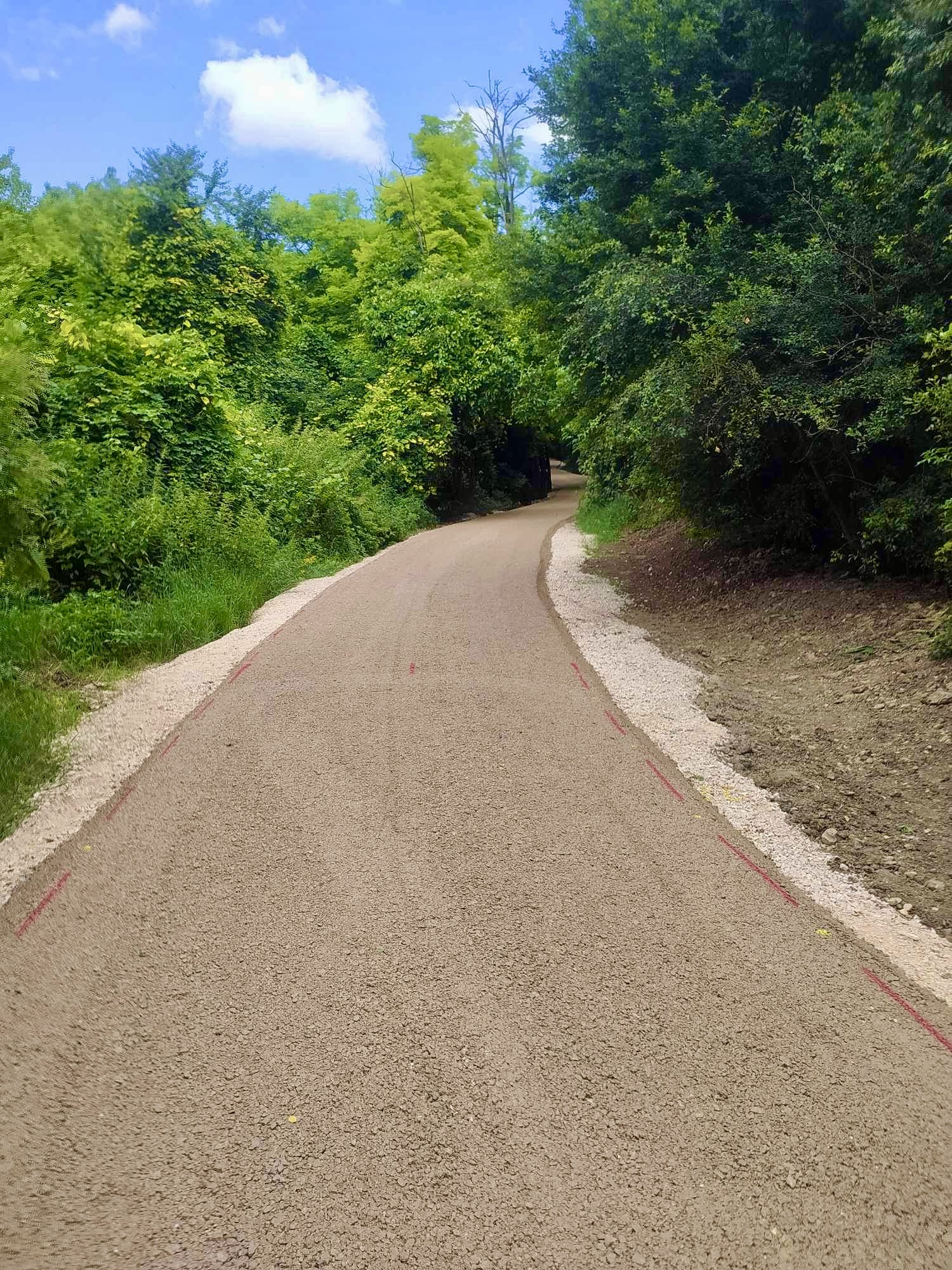 This image for Image Layouts addon